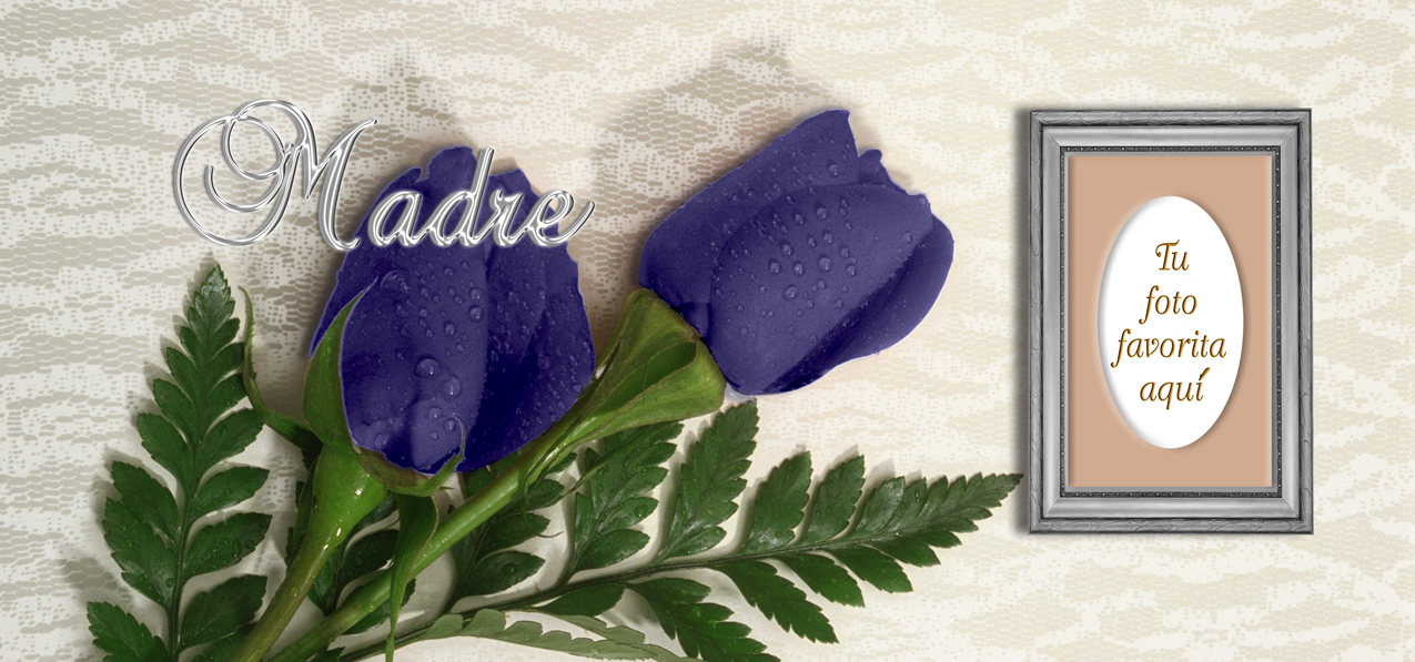 2 Roses Purple Silver Madre (Spanish)